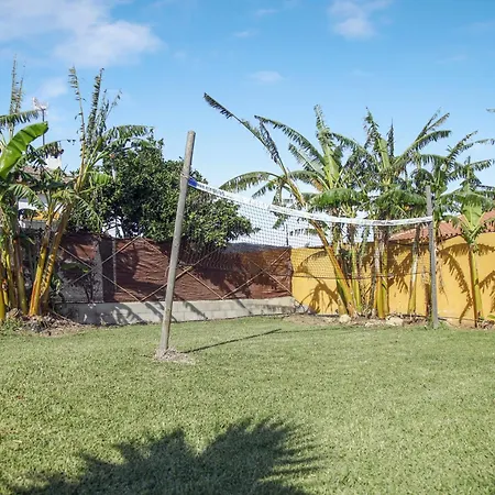 Paraisos 3 *